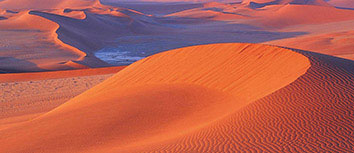 乒乓球女队群雄并起，冠军问鼎