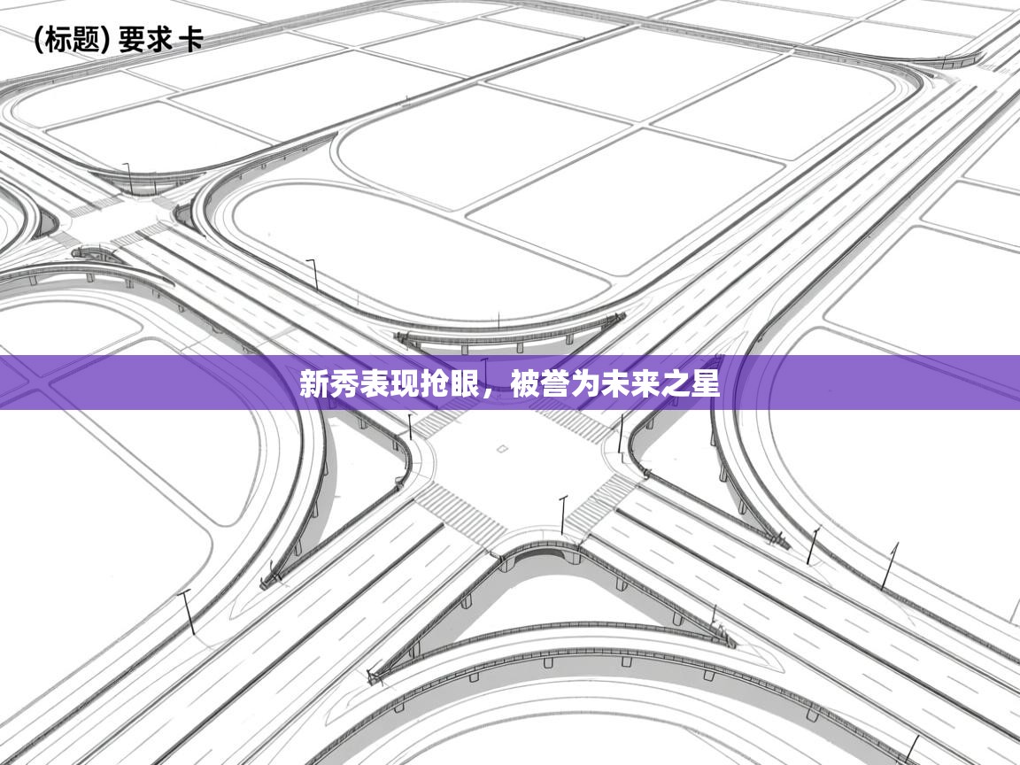 新秀表现抢眼，被誉为未来之星