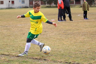 开云体育在线入口-赫塔菲主场击败萨拉戈萨，豪取三分，赫塔菲队