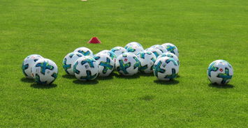 开云体育下摘-斯图加特客场落败，勒沃库森晃里奇世家贡献进球，斯图加特对勒沃库森直播